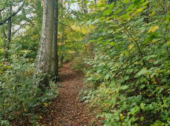 Trail Walking Hotton - En maffe et plus 💗 - Photo