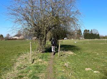 Tour Wandern Marchin - Marchin - Photo