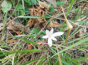 Percorso Marcia La Touche - Citelles hameau et ruisseaux 10km - Photo