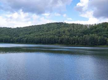 Trail Walking Stavelot - Tour du lac de Coo   - Photo