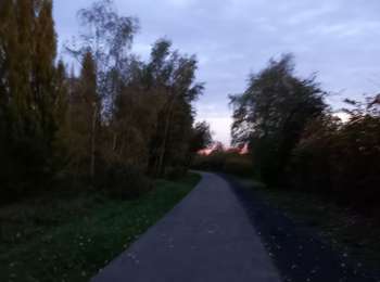 Trail Walking Liège - Robermont-Jupille  - Photo