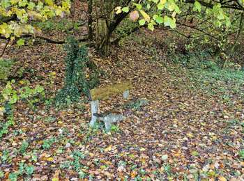 Trail Walking Honnelles - La promenade du Caillou qui Bique - Photo