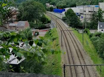 Trail Walking Chaudfontaine - Le Bois des Dames   - Photo