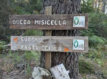 Trail Walking Guagno - Pastricciola - Photo