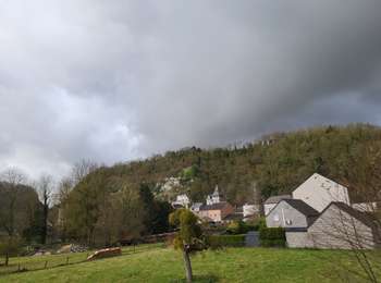 Tour Wandern Andenne - Thon Samson 031224 - Photo