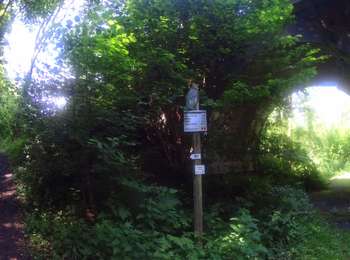 Trail Mountain bike Walcourt - activity_8994564839 - Photo