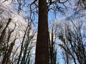 Trail Walking Salans - salans  - Photo