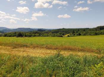 Percorso Marcia Saint-Rémy-sur-Durolle - saint remy 11km - Photo