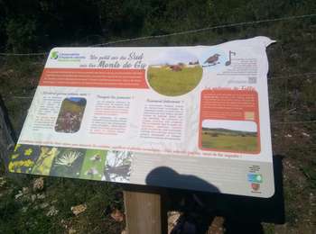 Trail Walking Bucey-lès-Gy - Bucey les gy - Photo