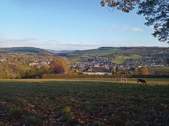 Trail Walking Stoumont - Le Roannay, le mont des Brumes, la fagne - Photo