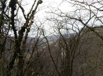 Trail Walking Arbois - Arbois - Photo