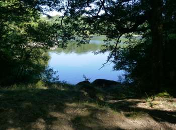 Tour Wandern Saissac - le lampy - Photo