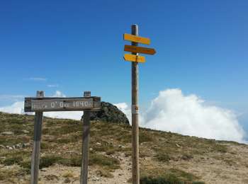 Trail Walking Ghisoni - Punta della Cappella - Photo