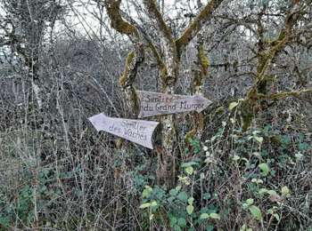 Trail Walking Menotey - Menotey 6.1 km 20230107 - Photo