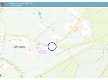 Trail Walking Eupen - 20250224 - Eupen 7.4 Km - Photo