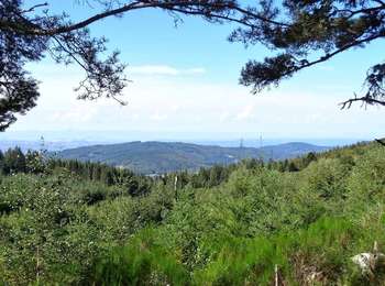 Percorso Marcia Le Brugeron - Brugeron_Puy_Gros - Photo