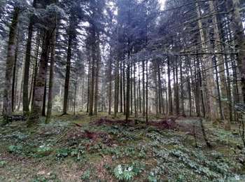 Trail Mountain bike Les Nans - les nans grand tour  - Photo