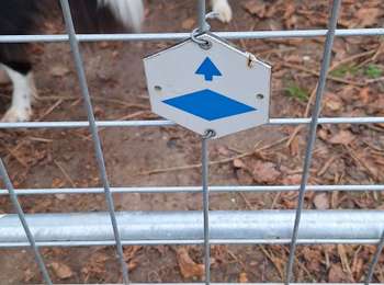 Trail Walking Visé - Lanaye - Photo