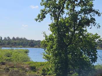 Tour Rennrad Valkenswaard - vélo Hollande  - Photo