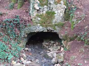 Trail Walking Rioz - Rioz, d'un rail à l'autre - Photo