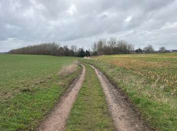 Tocht Stappen Bevekom - Hamme-Mille 18,4 km - Photo