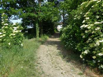 Tocht Te voet Geldenaken - #190000 - Souveraine Tienne Strichaux - Photo