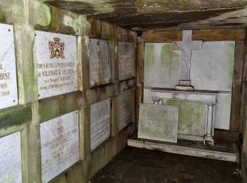 Trail On foot Luxembourg - Sentier pédestre Hibou - Photo