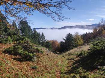 Tocht Stappen Prades - Prades col de la Gardie - Photo