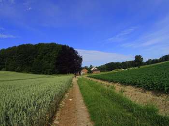 Trail Mountain bike Charleroi - VTT DES 2 ABBAYES - Photo