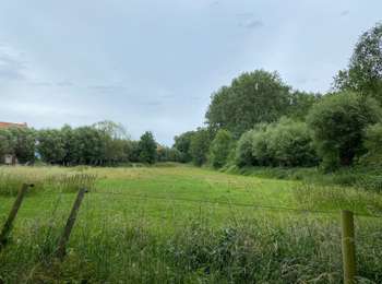Tocht Stappen Grimbergen - Grimbergen 8 km - Photo