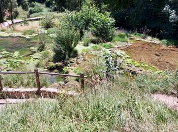 Trail Walking Baume-les-Messieurs - La cascade des Tufs - Photo