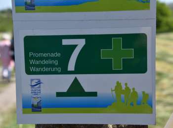 Trail Walking Sprimont - 20210530 - Dolembreux 8.5 Km - Photo