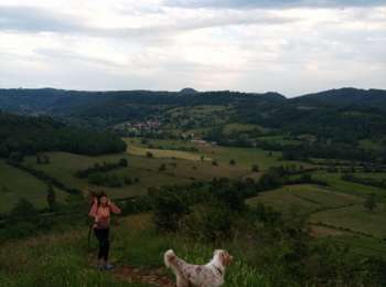 Trail Walking Montaigu - Mont des Tartres - Photo