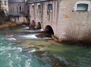 Trail Walking Arbois - ARBOIS  - Photo