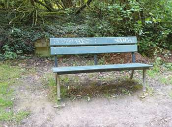 Tocht Stappen Genepiën - De Bousval à Ways Genappe - Photo