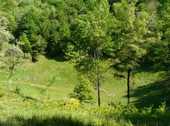Percorso Marcia Aydat - 2019-06-04 18:28:08 - Photo