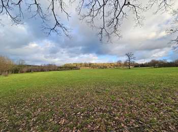 Tocht Stappen Lierneux - A la découverte de Lierneux 🥾 - Photo