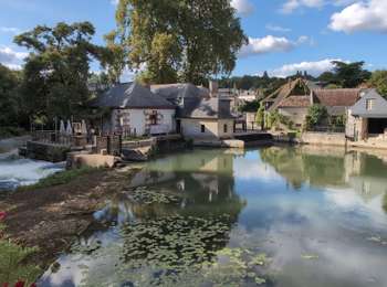 Randonnée Marche Azay-le-Rideau - Azay-le-Rideau - Variante PR Au détour de la Vallée du Lys - 10km 125m 3h00 - 2025 09 05 - Photo