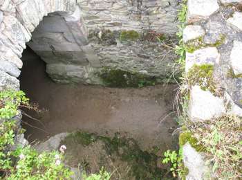 Percorso A piedi Saint-Rémy-de-Blot - Chateau-Rocher - Photo