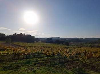 Tour Wandern Laure-Minervois - Laure Minervois - Photo