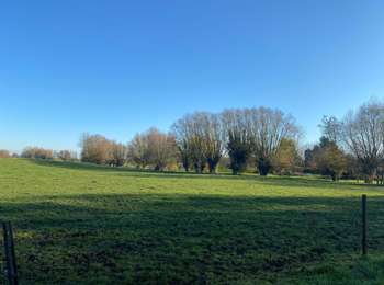 Trail Running Brugelette - Brugelette Bauffe Lens Cambron Vincent / Casteau Brugelette  - Photo