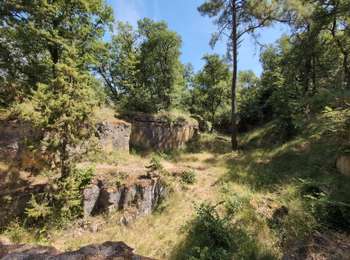 Randonnée Marche Beaumont-en-Véron - Beaumont-en-Véron - Puy de la Colline la Vienne Dolmen - 20.9km 240m 6h05 (1h15) - 2025 07 05 - Photo