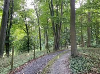 Trail Walking Seneffe - ADEPS - Arquennes - Photo