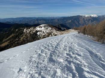 Trail Snowshoes Moulinet - Baisse Cavaline - Photo