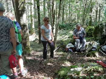 Trail Walking Dournon -  Cernans - Photo