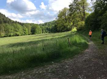 Percorso Marcia Huy - Huy 20 km bois  - Photo