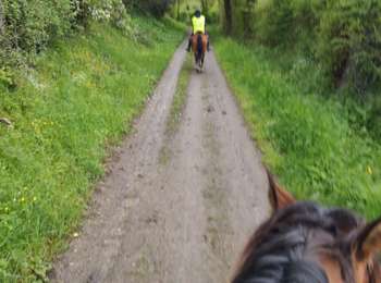 Trail Horseback riding Chasselay - Chasselay 20230423 - Photo