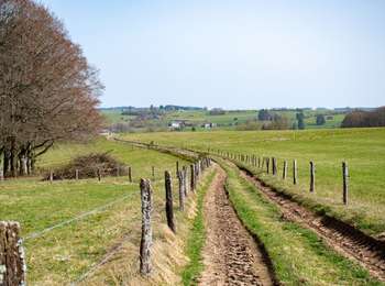 Trail Hybrid bike Libramont-Chevigny - 13318406-VTC35KM_LIBRAMONT - Photo