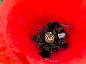 Tocht Stappen Chaumont-Gistoux - #231016 - Corroy-Le-Grand et le Val d'Ocquière*** (inversé court) - Photo