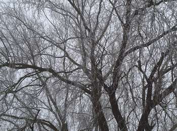 Trail Walking Verlaine - champon - Photo